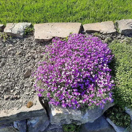 Alter Spieker Sundern-endorf * Sundern