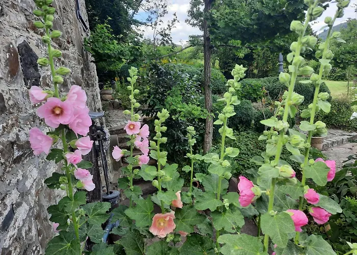 Alter Spieker Sundern-endorf *