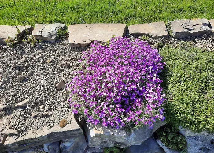 Alter Spieker Sundern-endorf * Sundern